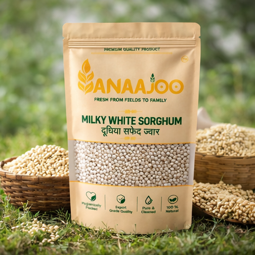 Anaajoo Milky White Sorghum (दूधिया सफेद ज्वार) | Premium Soft Jowar Grain, Chemical-Free, Sortex Cleaned, Gluten-Free